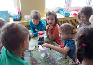 Dzieci siedzą przy stole w sali przedszkolnej, sprawdzają czystość śniegu.
