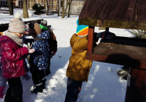 Dzieci zimą wysypują do karmnika pokarm dla ptaków