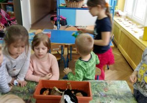 Dzieci siedzą przy stoliku. W skrzynce sadzą warzywa.