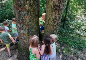 Dzieci oglądają drzewo -,,czarodziejskie drzewo"
