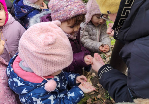 Dzieci trzymają ziarna dla ptaków w rękach