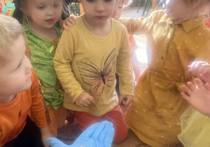 Dzieci przebrane w stroje w kolorze pomarańczowym oglądają pestkę dyni