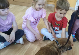 Dzieci siedzą w kole i obserwują psa ze schroniska